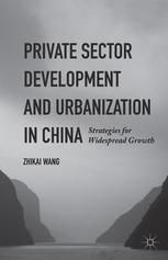 Private Sector Development And Urbanization In China Strategies For Widespread Growth Zhikai Wang Auth