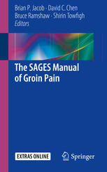 The Sages Manual Of Groin Pain 1st Edition Brian P Jacob David C Chen