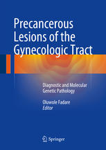 Precancerous Lesions Of The Gynecologic Tract Diagnostic And Molecular Genetic Pathology 1st Edition Oluwole Fadare Eds