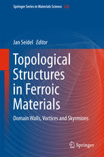 Topological Structures In Ferroic Materials Domain Walls Vortices And Skyrmions 1st Edition Jan Seidel Eds