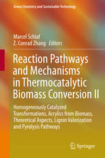 Reaction Pathways And Mechanisms In Thermocatalytic Biomass Conversion Ii Homogeneously Catalyzed Transformations Acrylics From Biomass Theoretical Aspects Lignin Valorization And Pyrolysis Pathways 1st Edition Marcel Schlaf