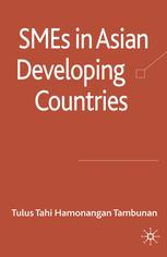 Smes In Asian Developing Countries Tulus Tahi Hamonangan Tambunan Auth