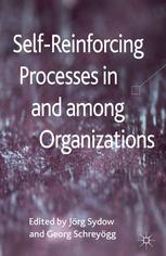 Selfreinforcing Processes In And Among Organizations Jrg Sydow