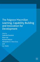 Learning Capability Building And Innovation For Development Gabriela Dutrnit