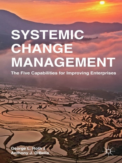 Systemic Change Management The Five Capabilities For Improving Enterprises 2015th Edition Roth