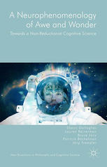 A Neurophenomenology Of Awe And Wonder Towards A Nonreductionist Cognitive Science Shaun Gallagher