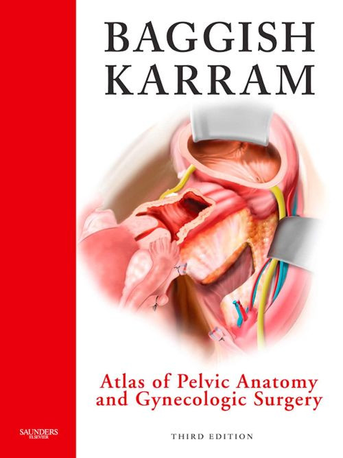 Atlas Of Pelvic Anatomy And Gynecologic Surgery 3rd Edition 3rd Michael S Baggish