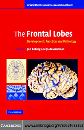 The Frontal Lobes Development Function And Pathology Risberg