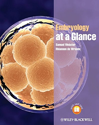 Embryology At A Glance 1st Edition Webster Samuel De Wreede