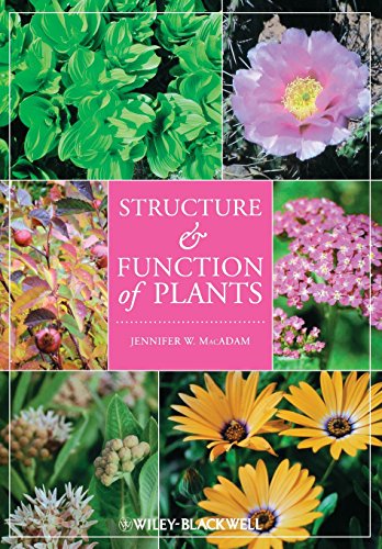 Structure And Function Of Plants 1st Ed Macadam Jennifer W