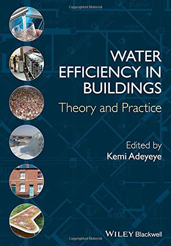 Water Efficiency In Buildings Theory And Practice 1st Edition Adeyeye
