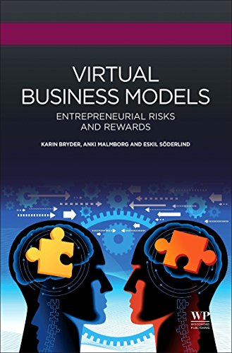 Virtual Business Models Entrepreneurial Risks And Rewards 1st Edition Karin Bryder
