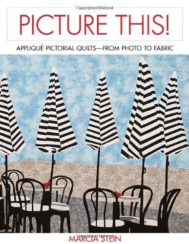 Picture This Applique Pictorial Quiltsfrom Photo To Fabric 1st Stein