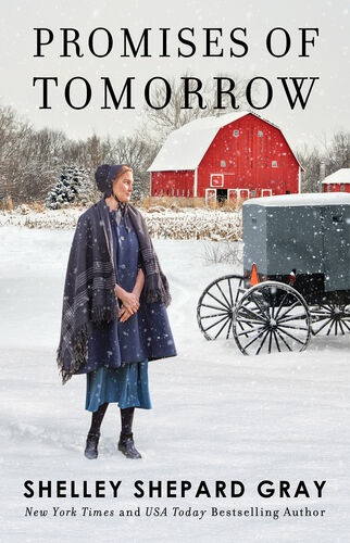 Bb01 A Perfect Amish Romance Shelley Shepard Gray