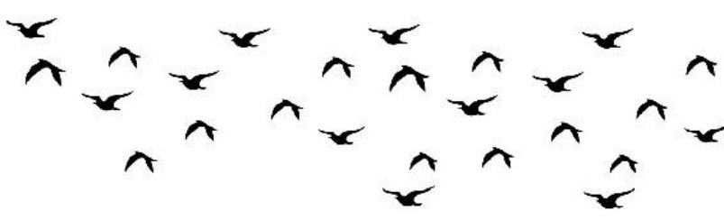 Bird Nerds Columbus Falls Book 2 T Spear
