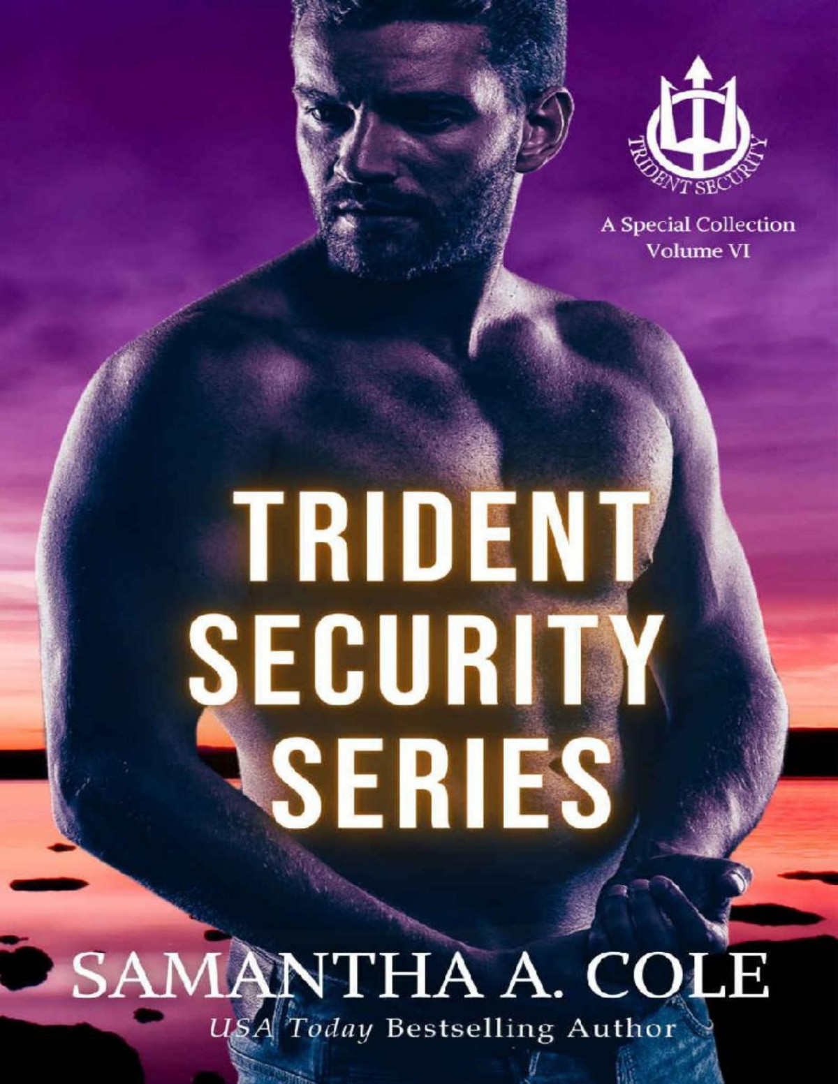 Trident Security Series A Special Collection Volume Vi Samantha A Cole