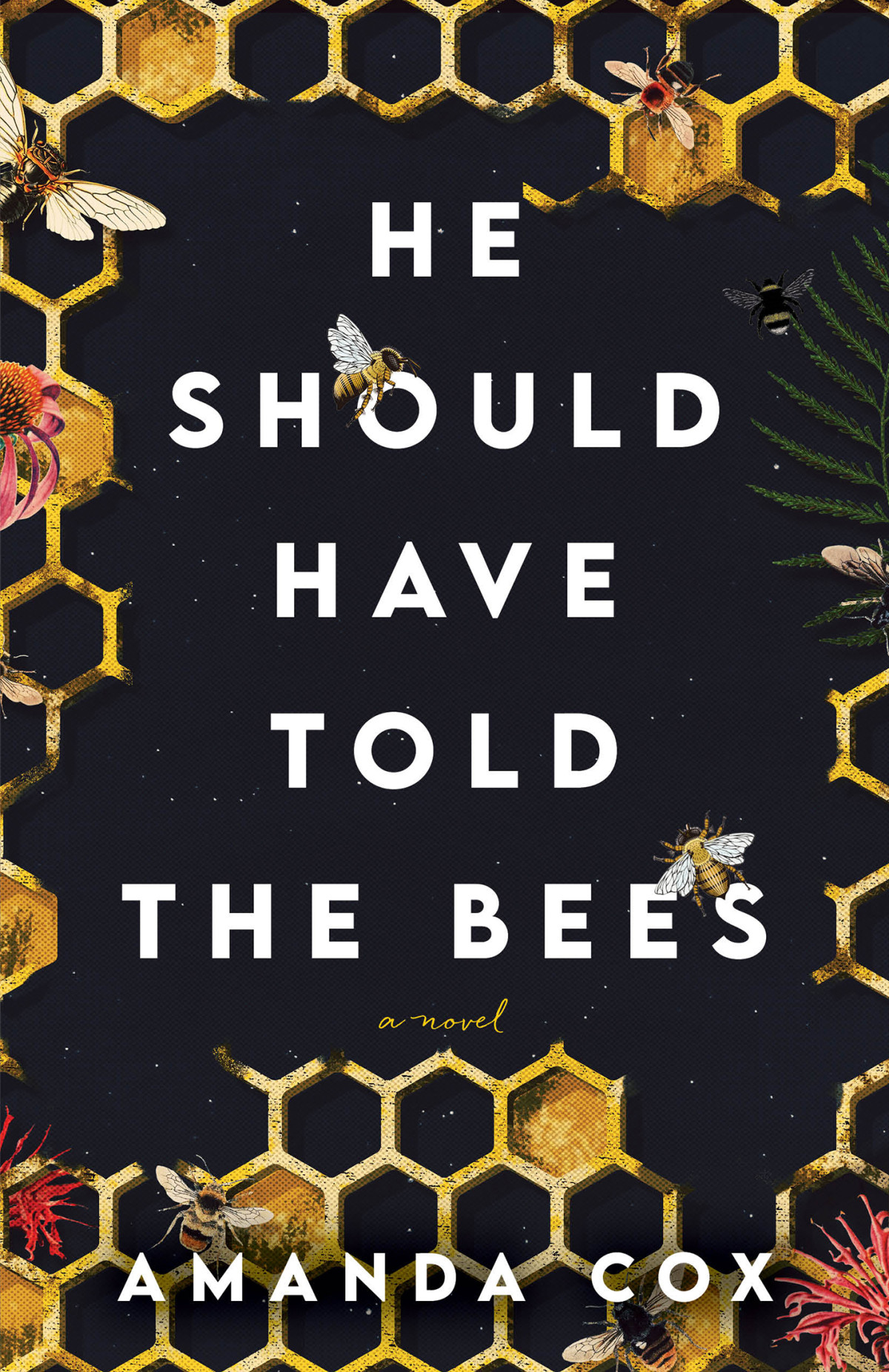 He Should Have Told The Bees Amanda Cox
