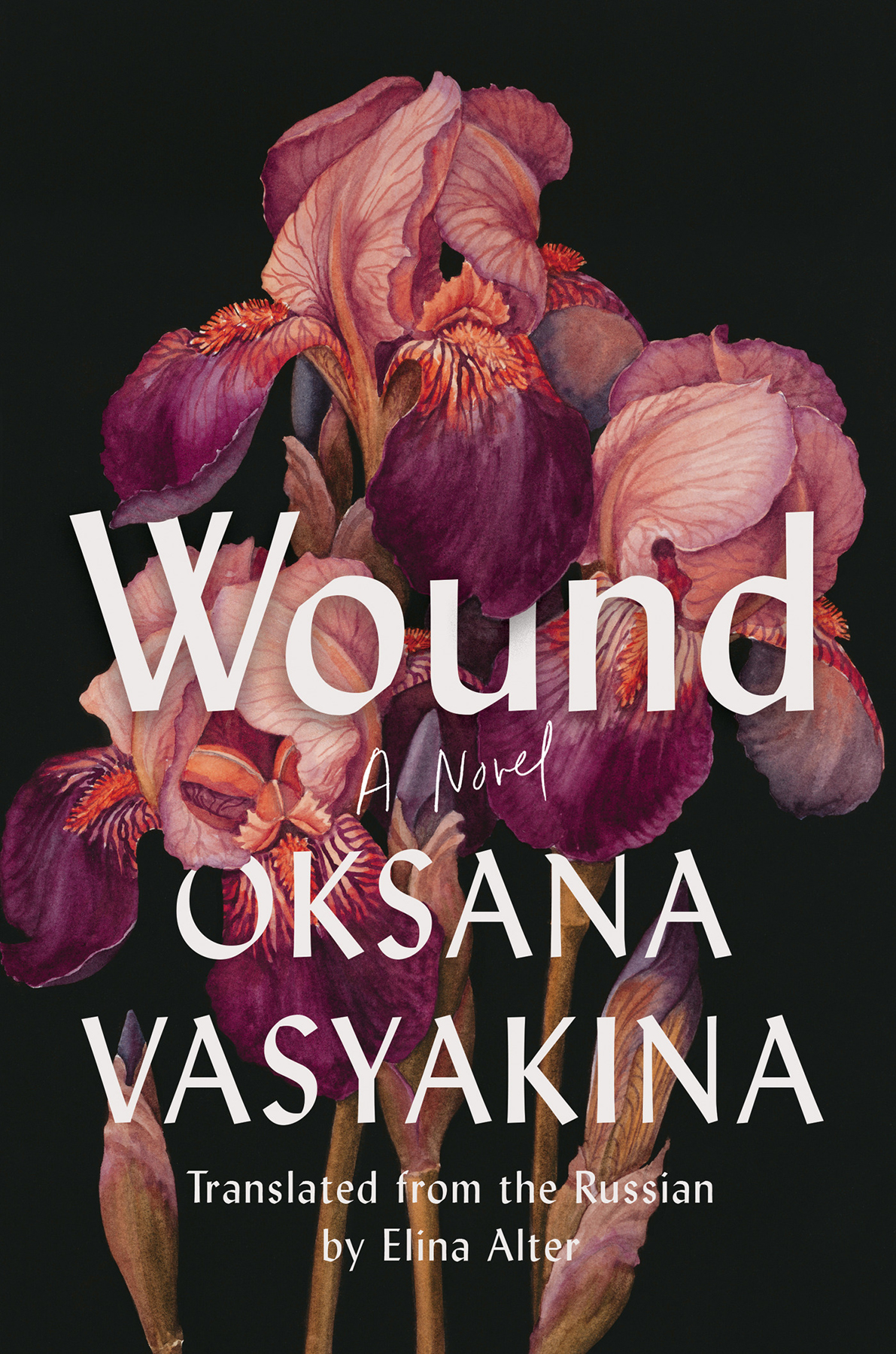 Wound A Novel 1st Edition Oksana Vasyakina