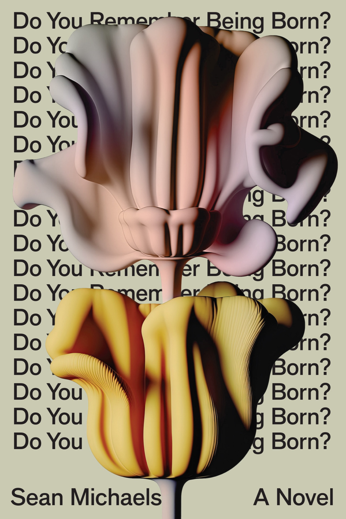 Do You Remember Being Born Sean Michaels