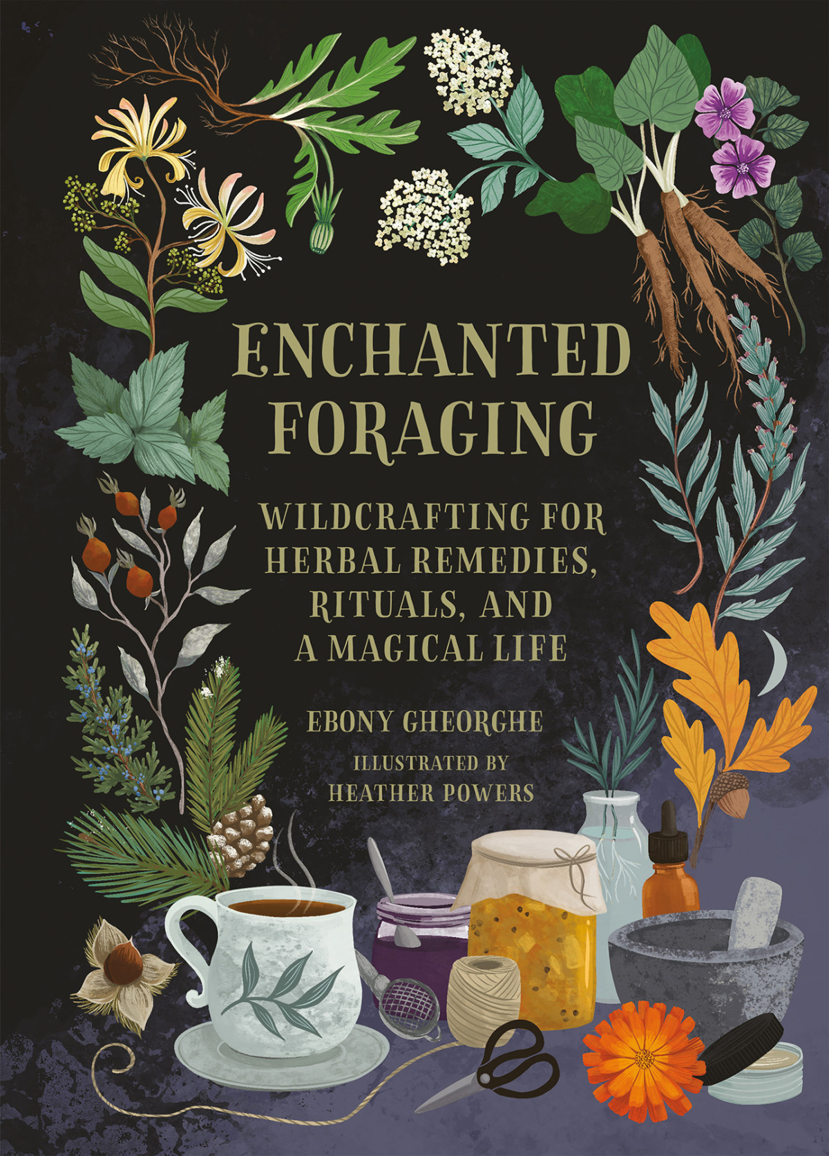 Enchanted Foraging Wildcrafting For Herbal Remedies Rituals And A Magical Life Ebony Gheorghe
