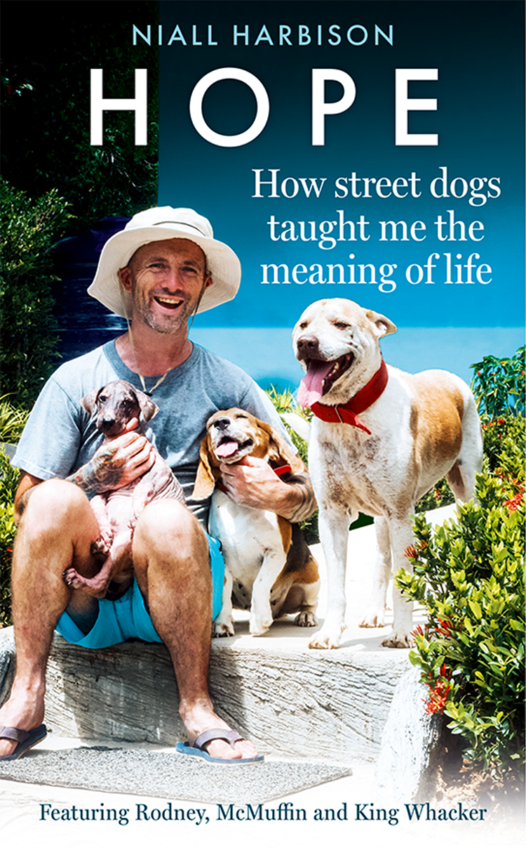 Hope How Street Dogs Taught Me The Meaning Of Life Niall Harbison