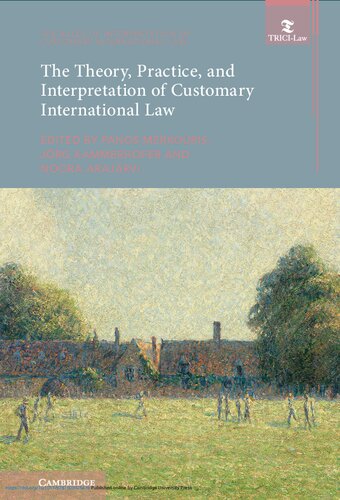 The Theory Practice And Interpretation Of Customary International Law 1st Edition Panos Merkouris