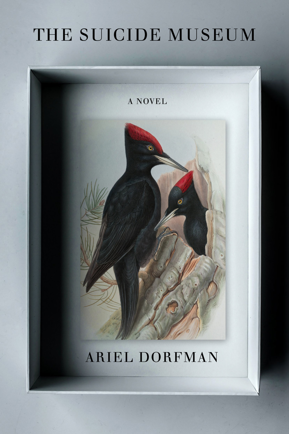 The Suicide Museum A Novel Ariel Dorfman