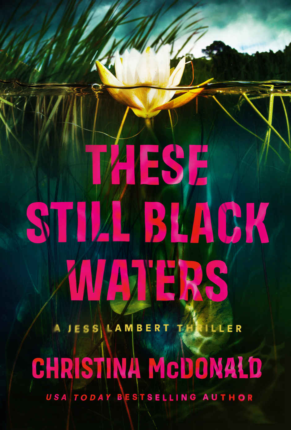 These Still Black Waters Christina Mcdonald