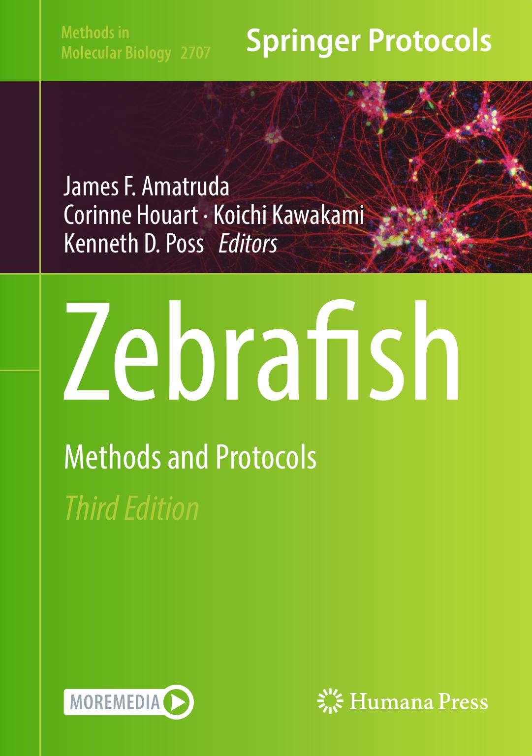 Zebrafish Methods And Protocols 3rd Edition James F Amatruda