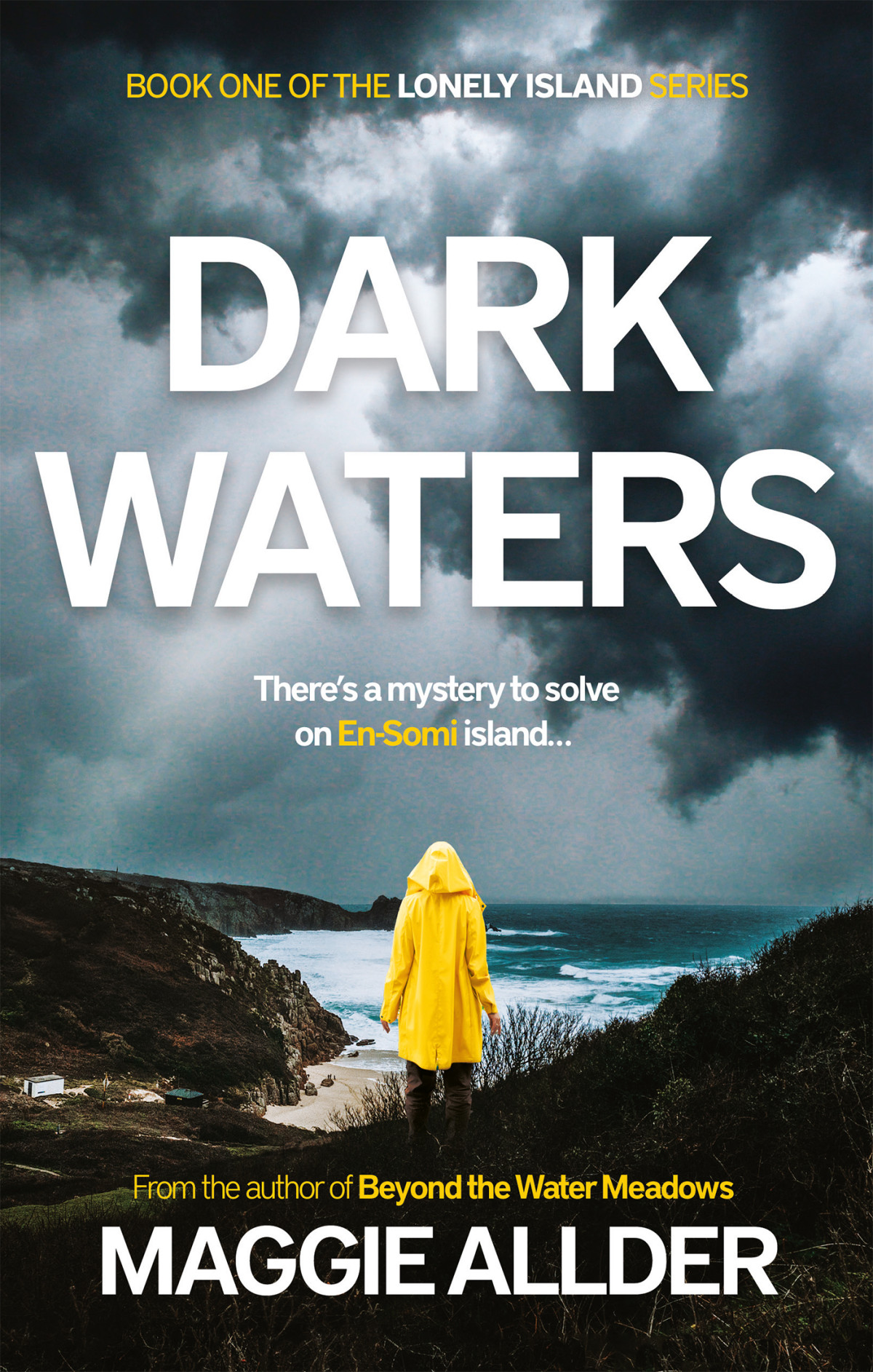 Dark Waters Book 1 Of The Lonely Island Series Maggie Allder