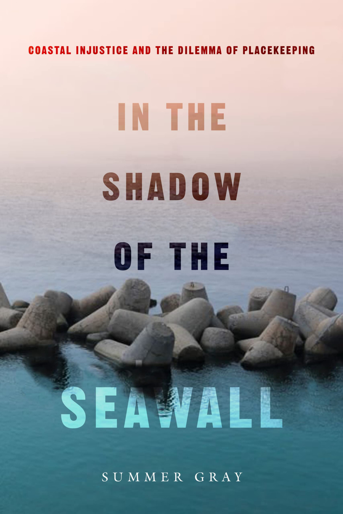 In The Shadow Of The Seawall Coastal Injustice And The Dilemma Of Placekeeping Summer Gray