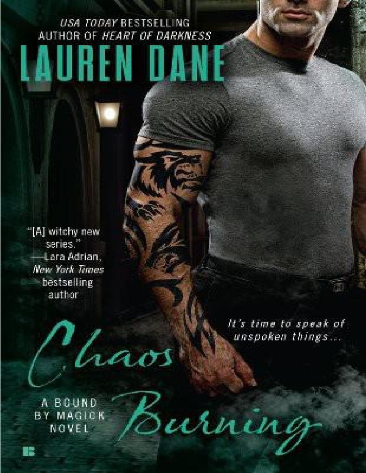 Chaos Burning Lauren Dane