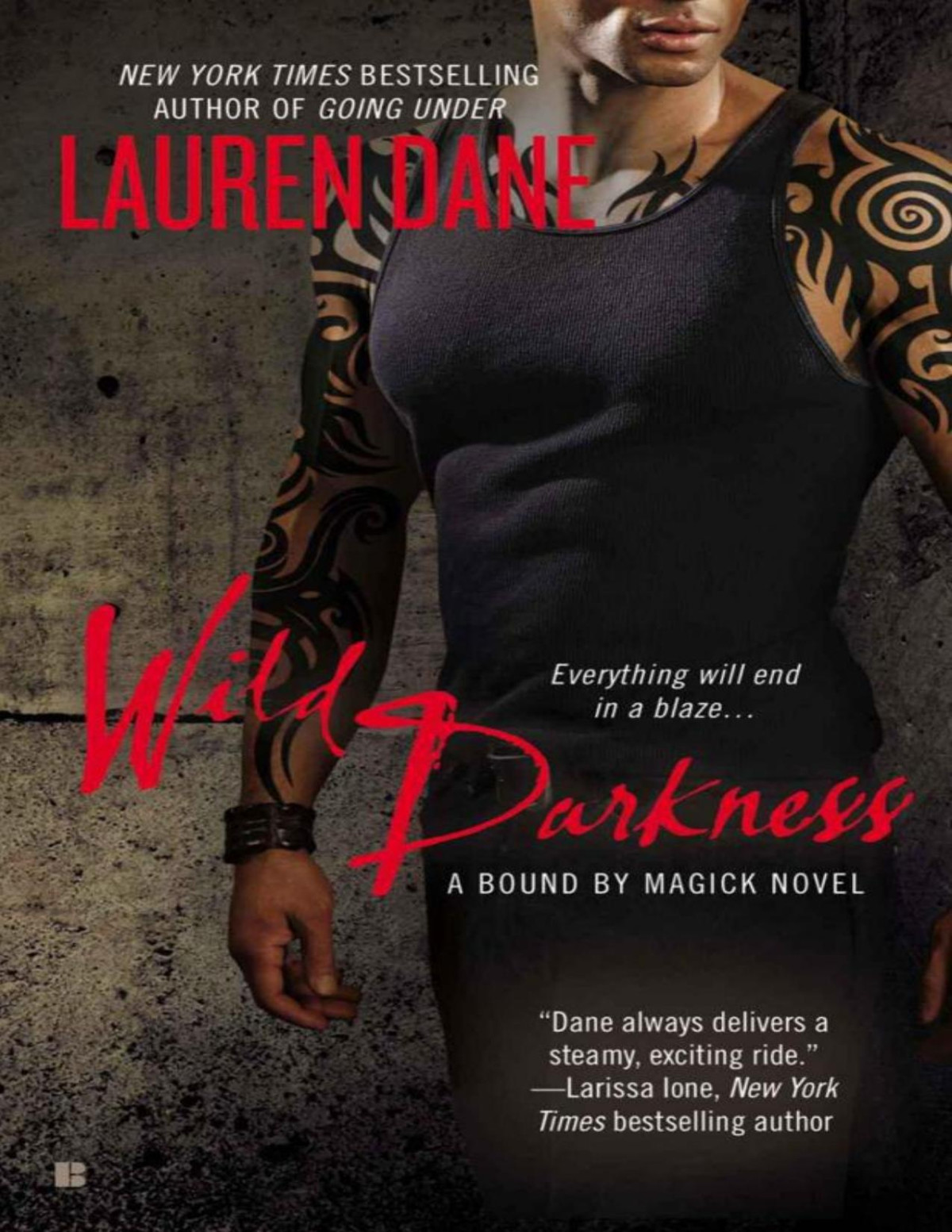Wild Darkness A Bound By Magick Novel Dane Lauren