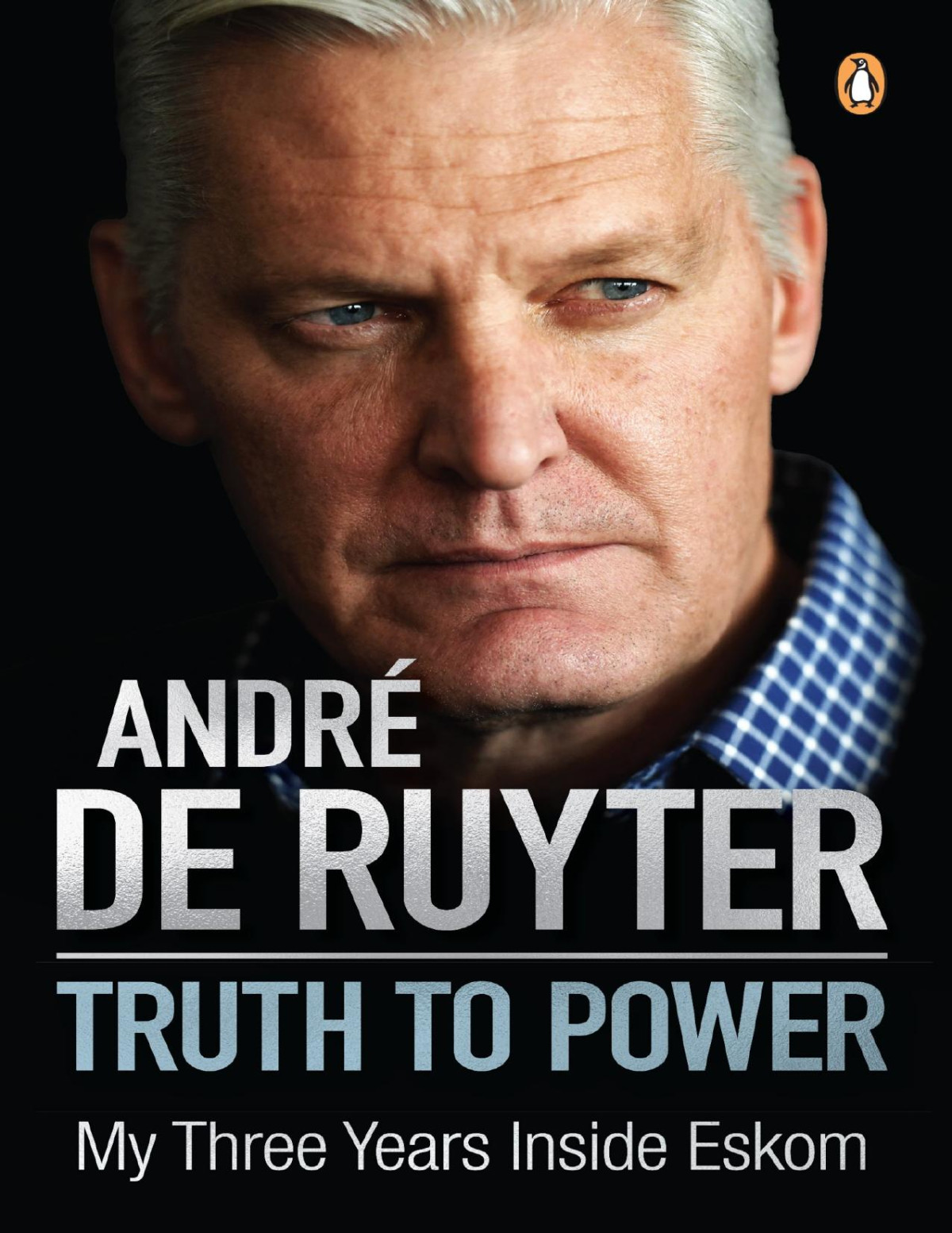 Truth To Power My Three Years Inside Eskom Andr De Ruyter