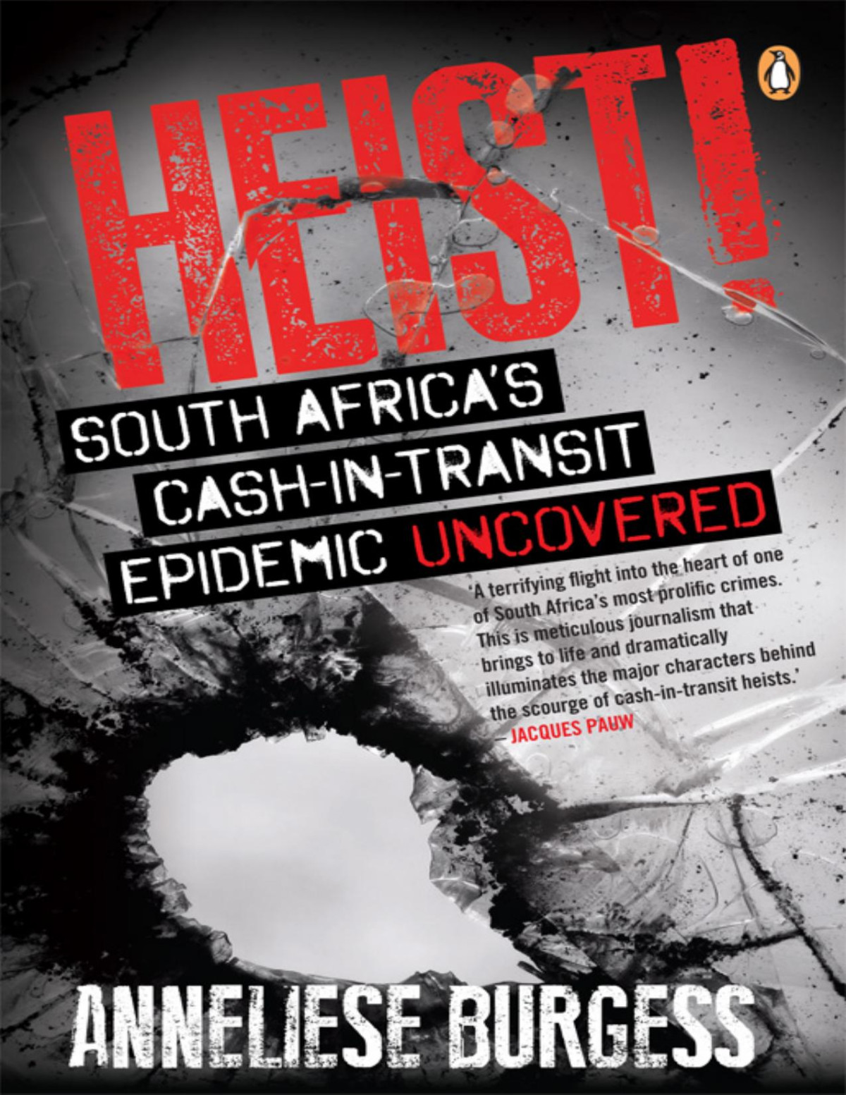 Heist South Africas Cashintransit Epidemic Uncovered Anneliese Burgess
