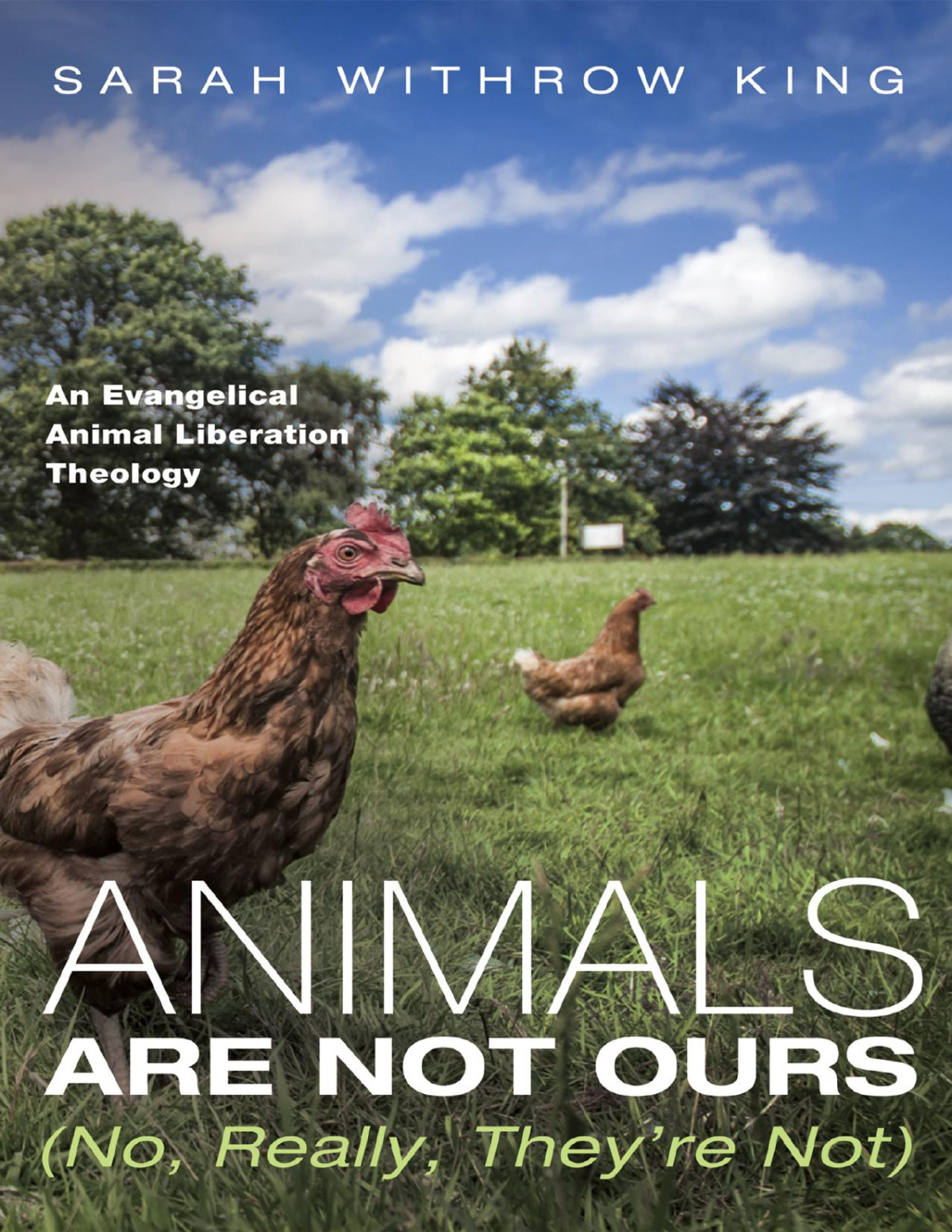 Animals Are Not Ours No Really Theyre Not King Sarah Withrow