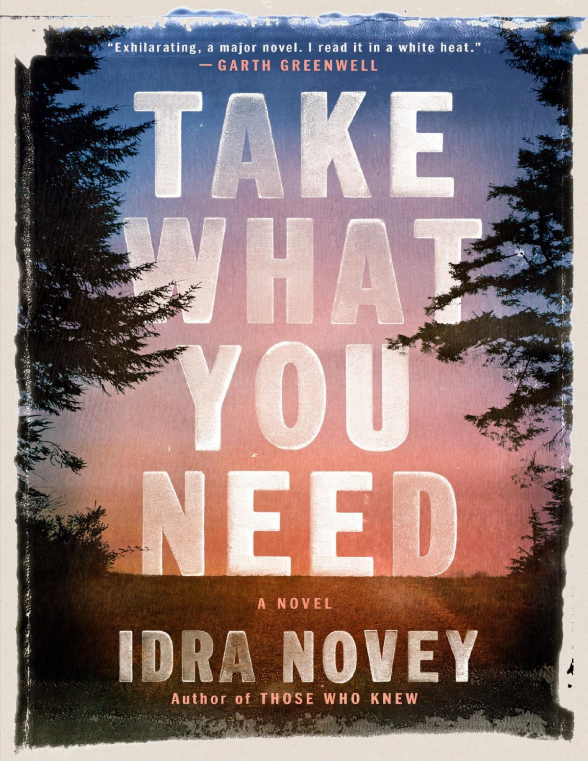 Take What You Need A Novel Idra Novey