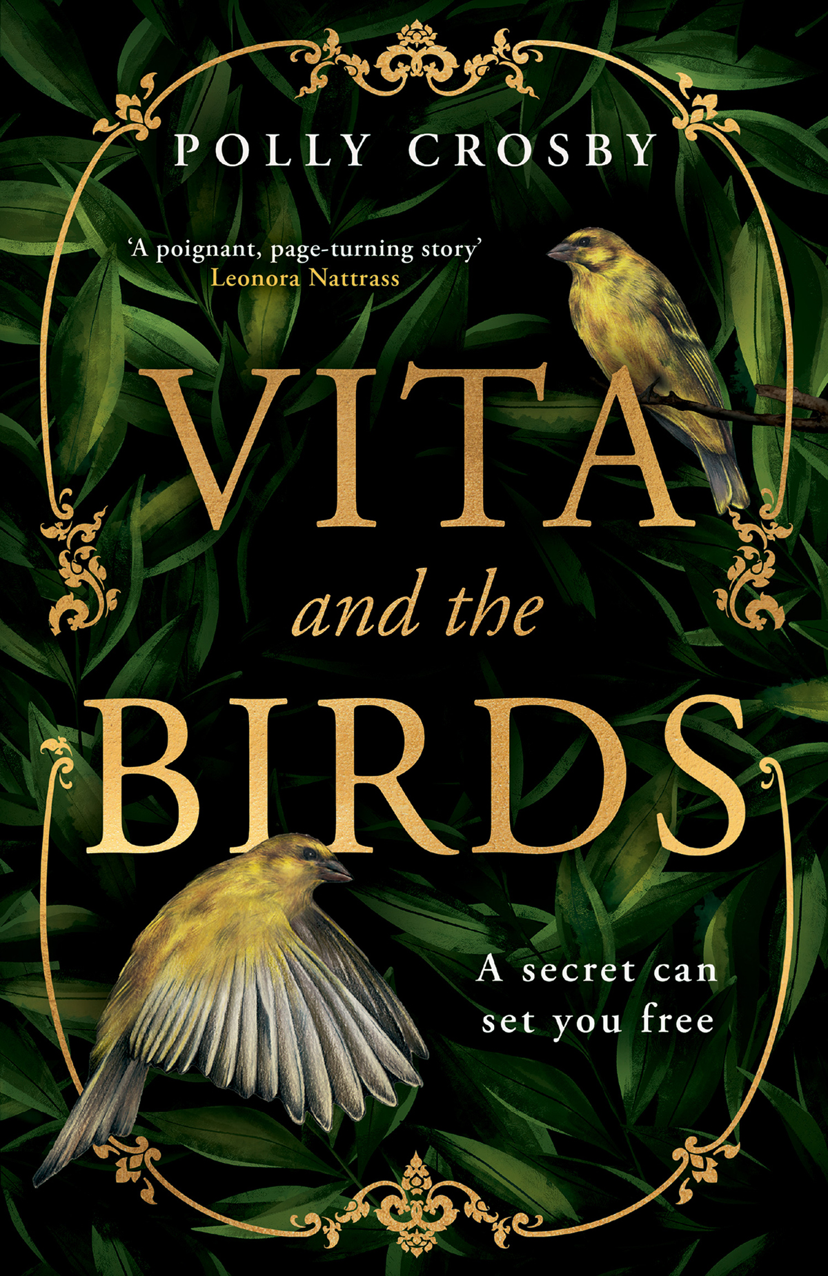 Vita And The Birds Polly Crosby