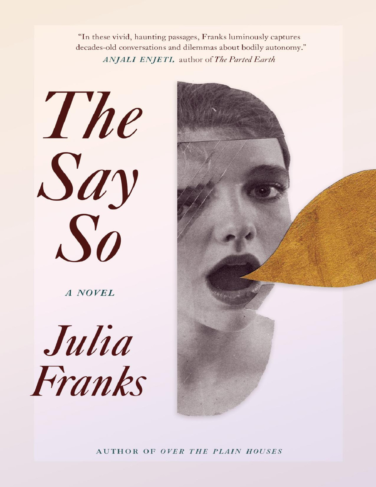 The Say So Julia Franks