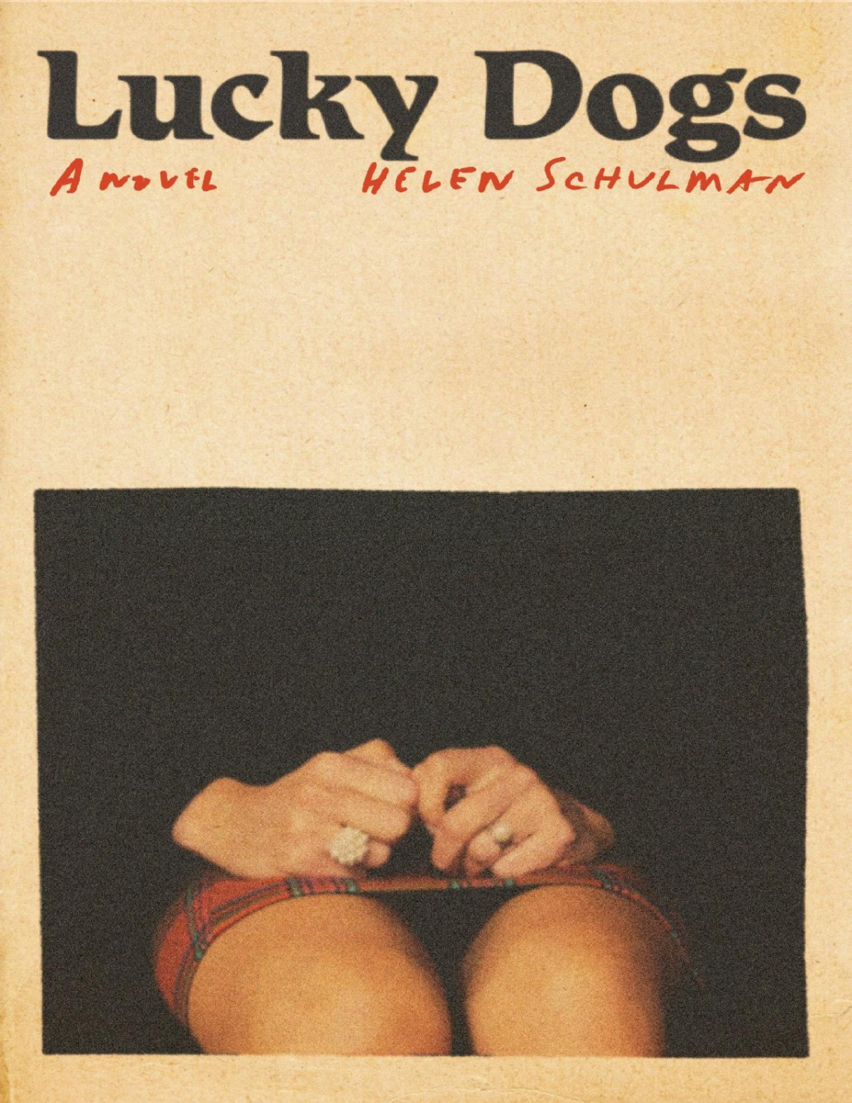 Lucky Dogs A Novel Helen Schulman