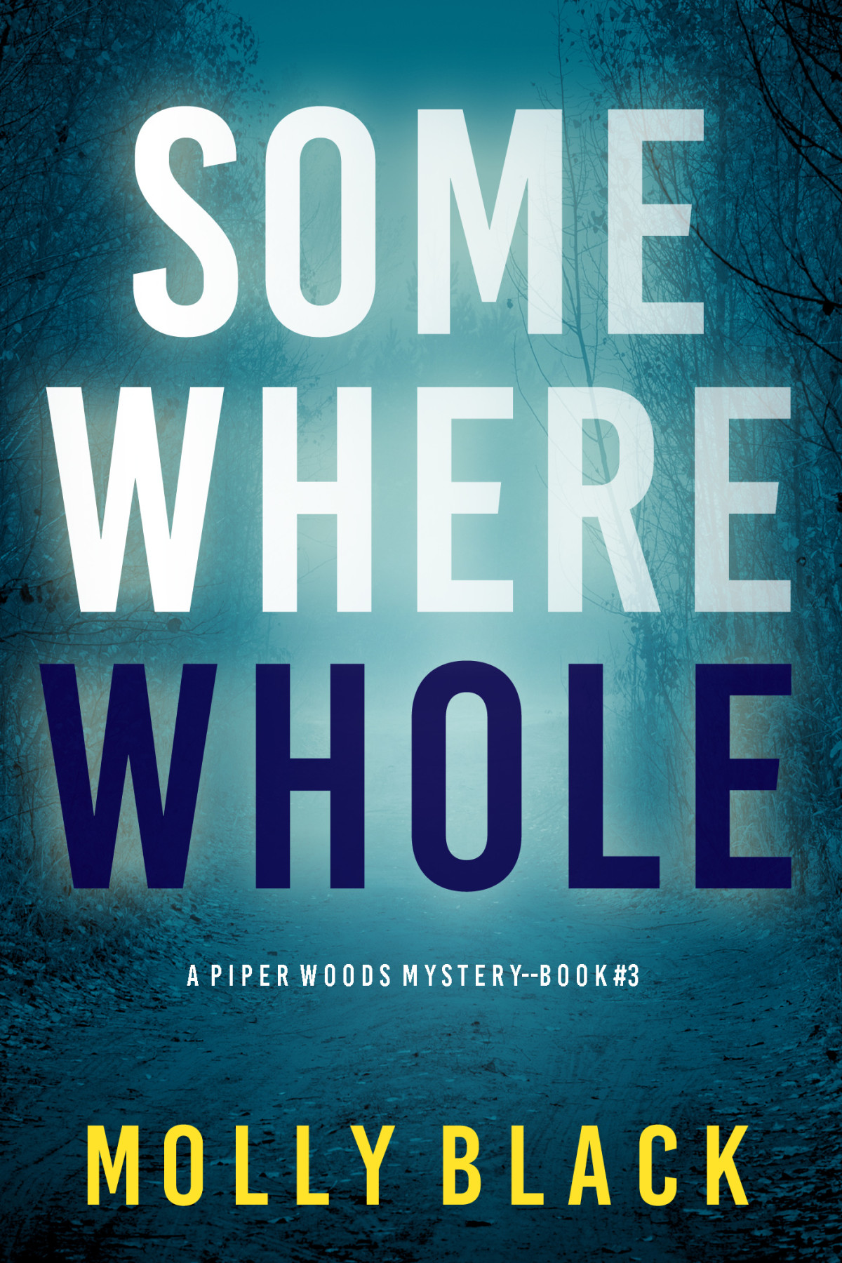 Somewhere Whole Molly Black