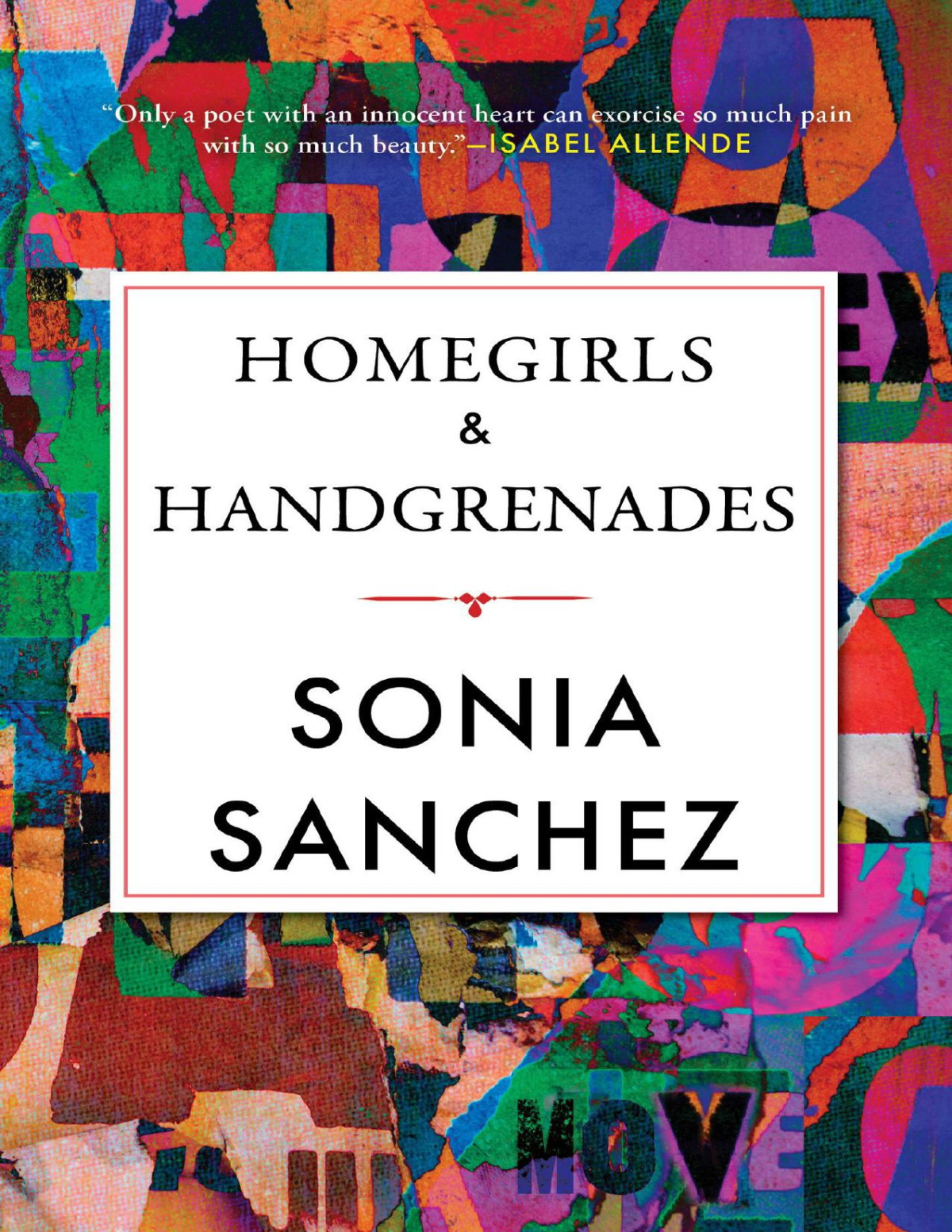 Homegirls Handgrenades Sonia Sanchez