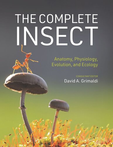 The Complete Insect Anatomy Physiology Evolution And Ecology David A Grimaldi Editor