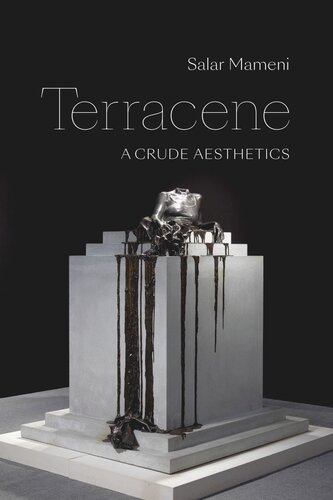 Terracene A Crude Aesthetics Salar Mameni