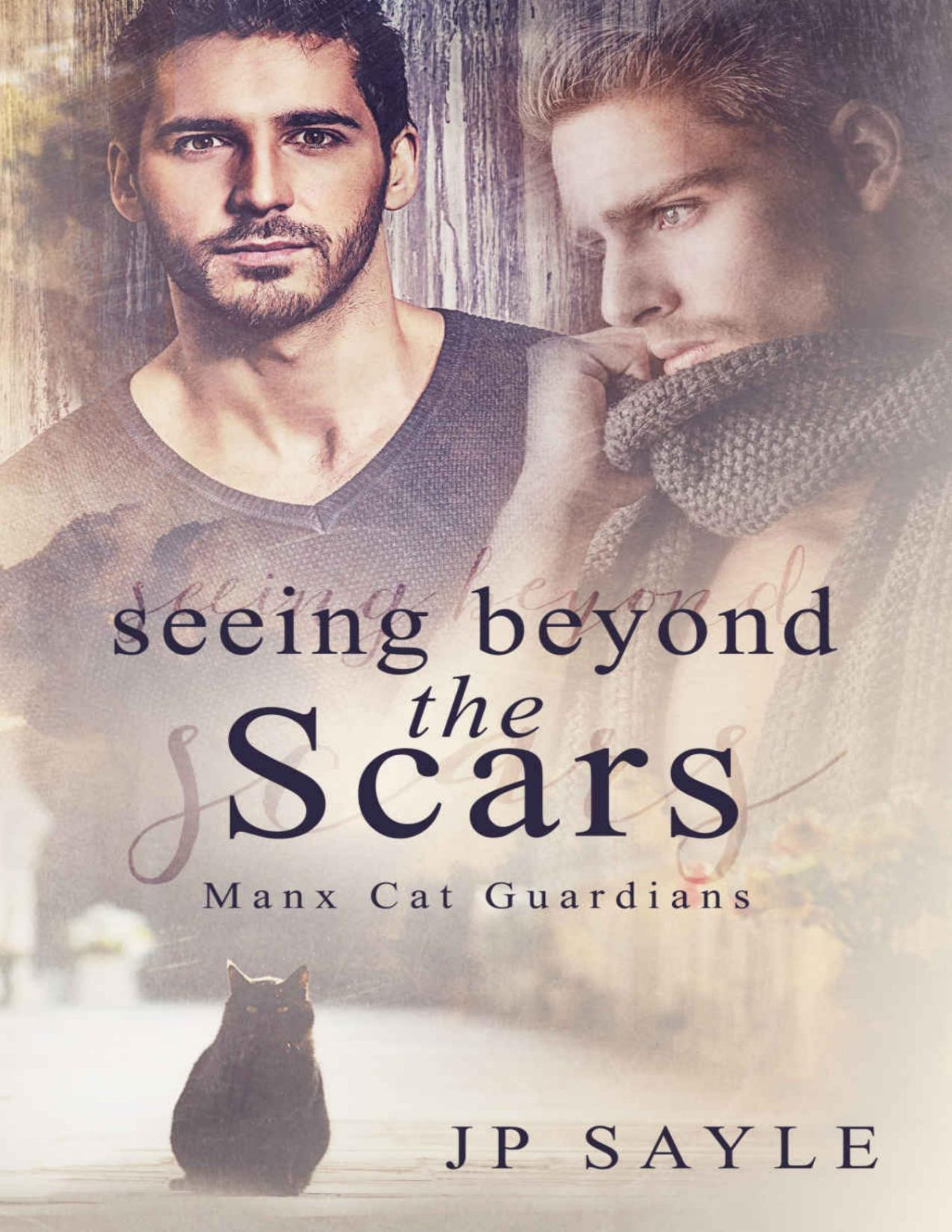 Seeing Beyond The Scars Manx Cat Guardians J P Sayle