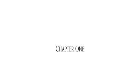 Old Loyalty New Love Mary Calmes