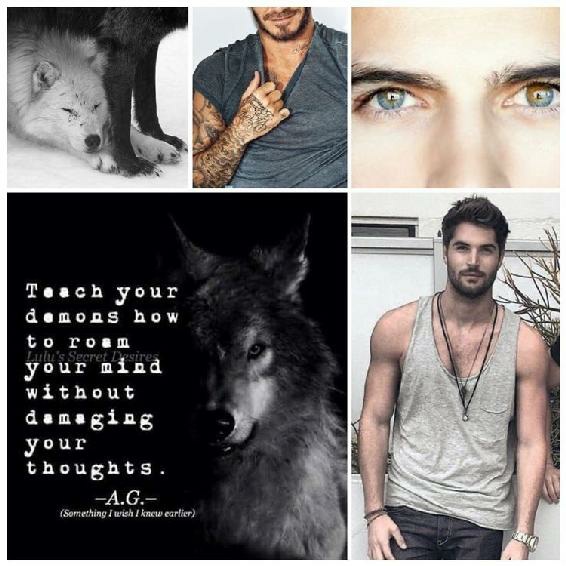 Dark Fate A Shifters Fury Karley Stafford