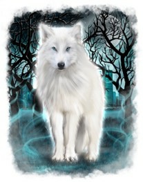 Ruthless Moon Shadow City Silver Mate Book 3 Jen L Grey Shadow City