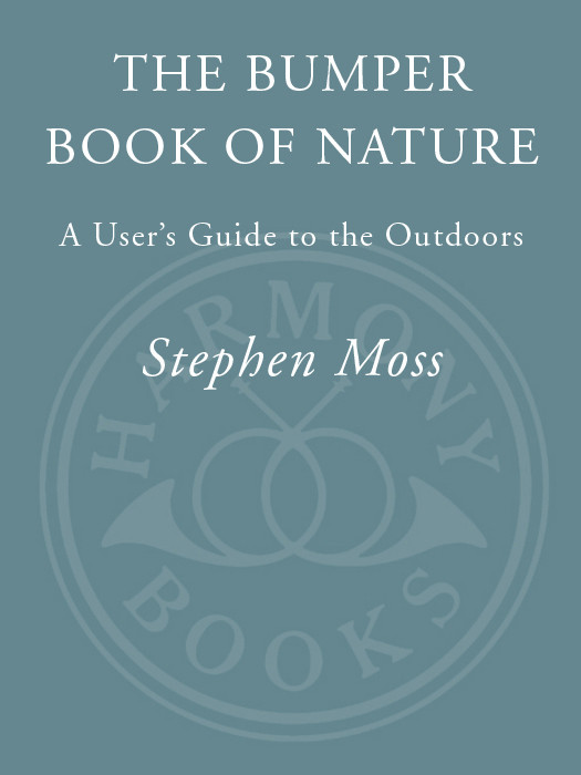 The Bumper Book Of Nature Stephen Moss