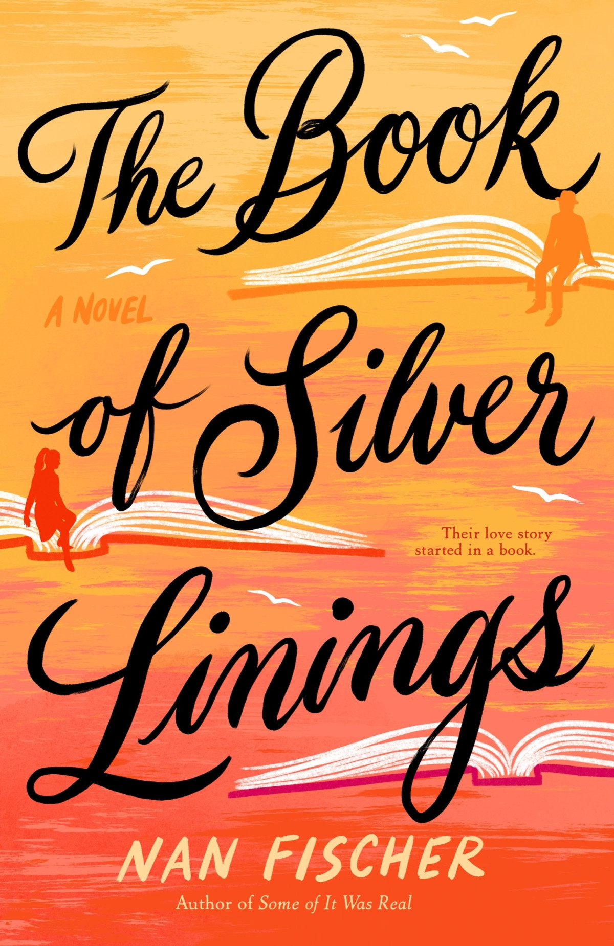 The Book Of Silver Linings Nan Fischer